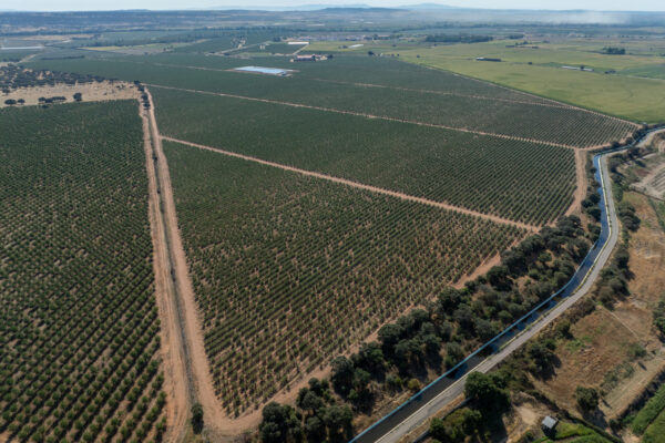 FINCA LA PALMERA-15