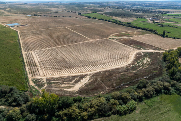 FINCA LAS CUMBRES-8