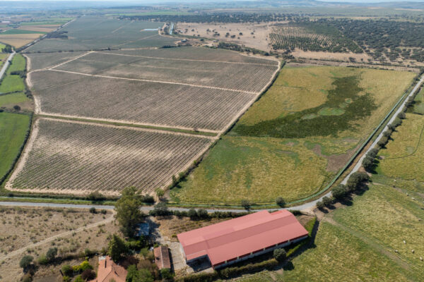 FINCA MONTEMORCILLO-1