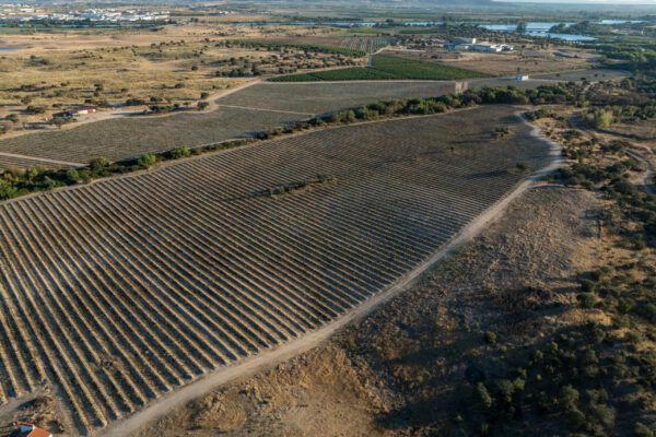FINCALAALBUERA-28
