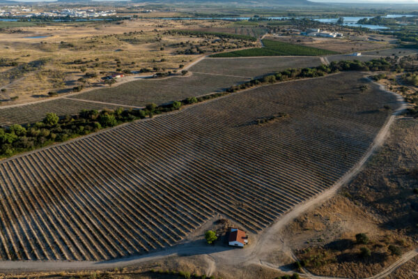 FINCALAALBUERA-29